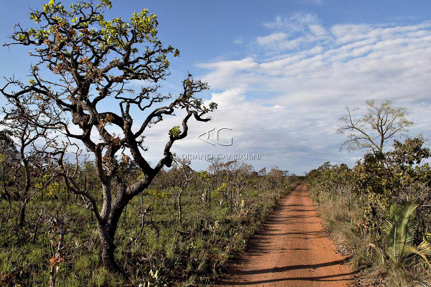 Curral anti-predação é construído em Sento Sé (BA) para proteger rebanhos e conservar onças