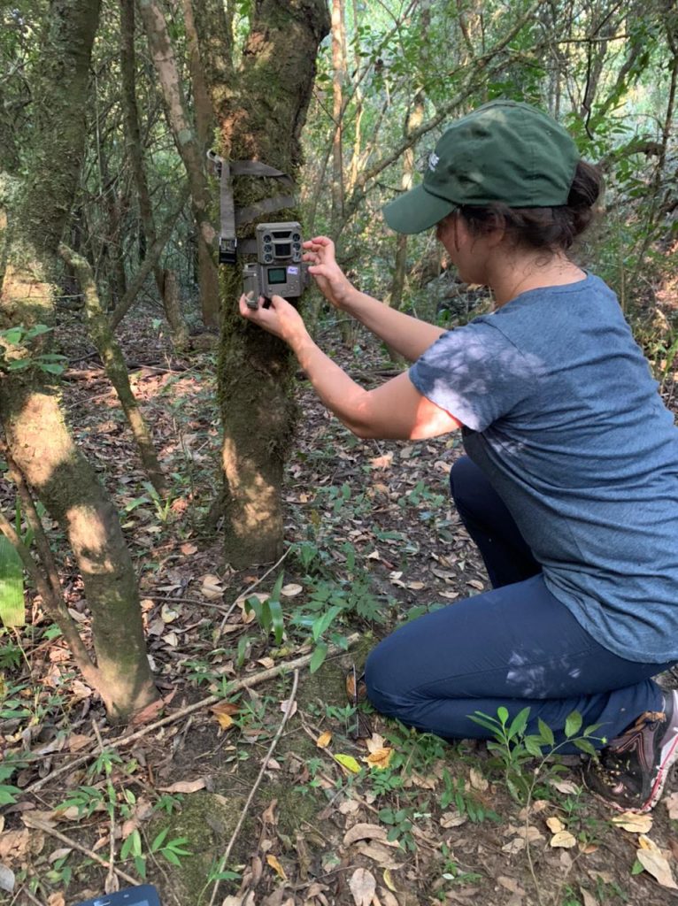 Fieldwork Brazil Feb_March2021