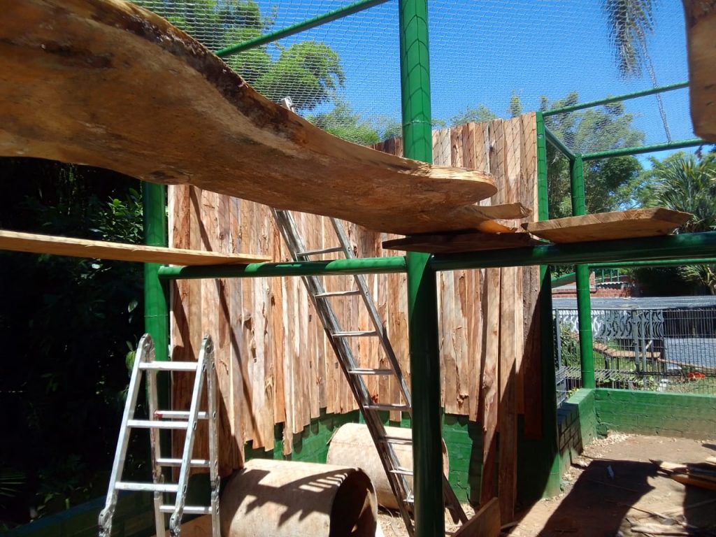 new_sactuary for samll wild cats_zoo cachoerira_Copyrigth Alisson